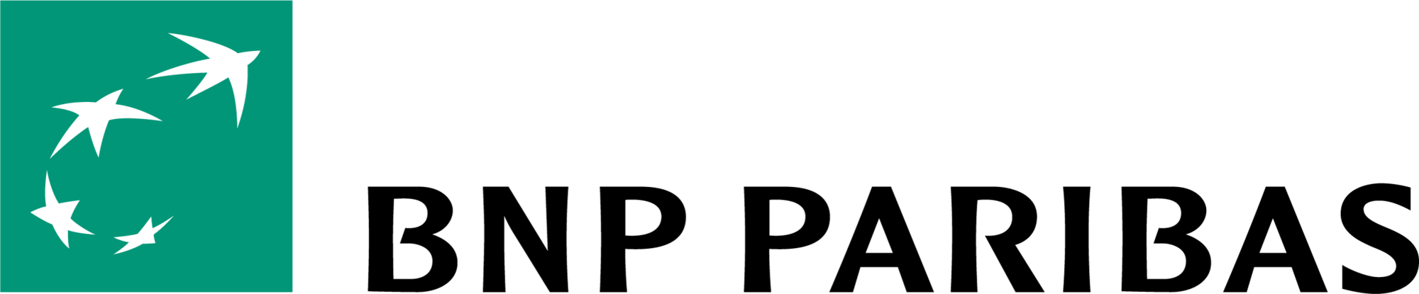 BNP logo